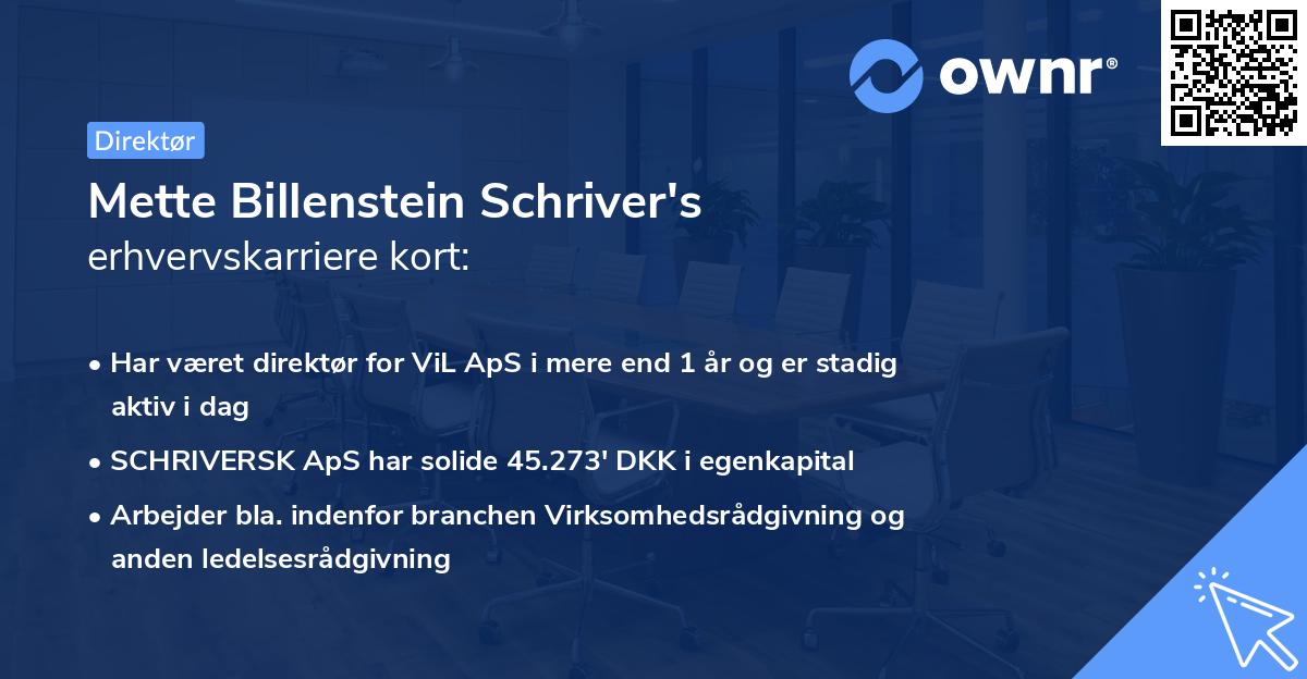 Mette Billenstein Schriver's erhvervskarriere kort