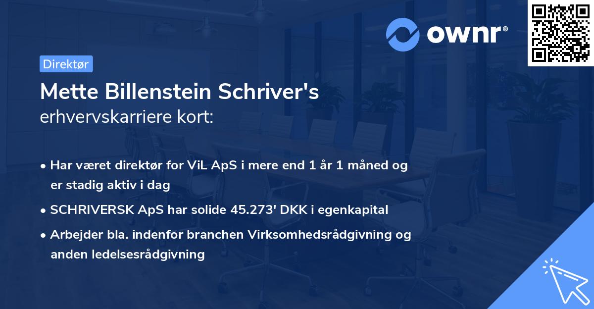 Mette Billenstein Schriver's erhvervskarriere kort