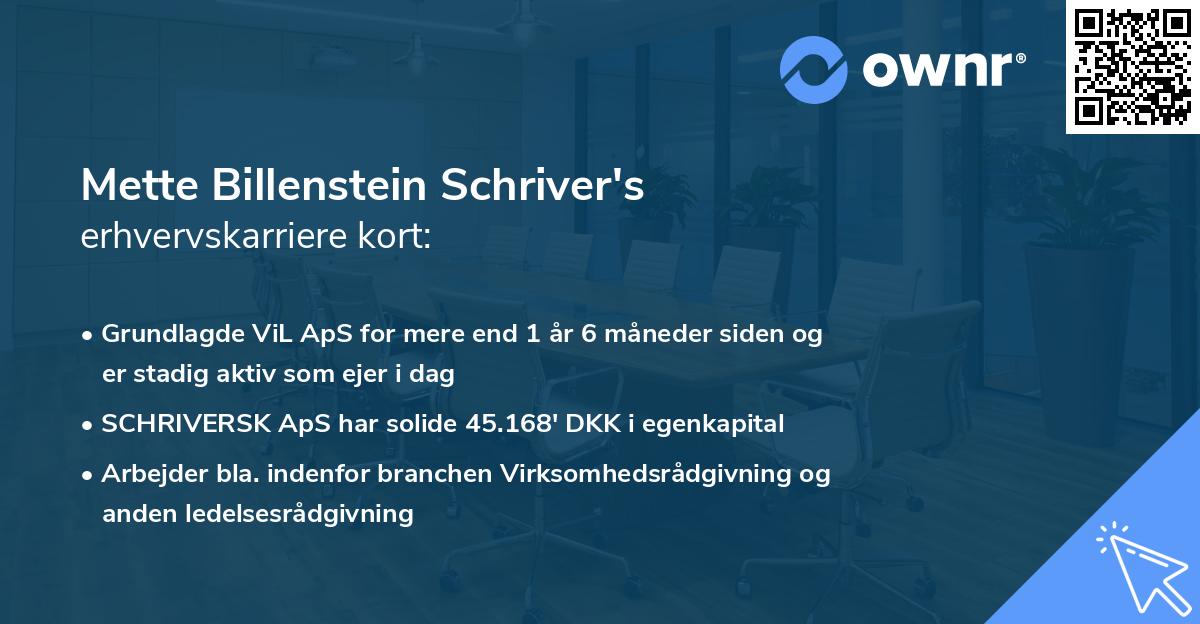 Mette Billenstein Schriver's erhvervskarriere kort
