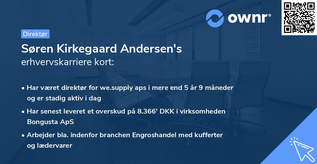 Søren Kirkegaard Andersen's erhvervskarriere kort