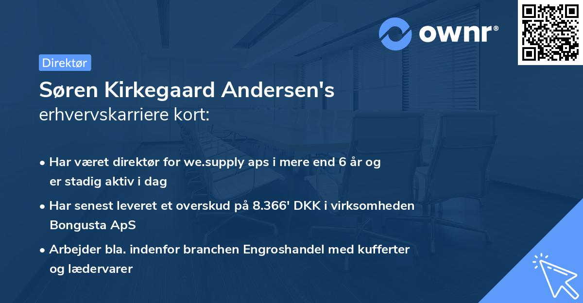 Søren Kirkegaard Andersen's erhvervskarriere kort