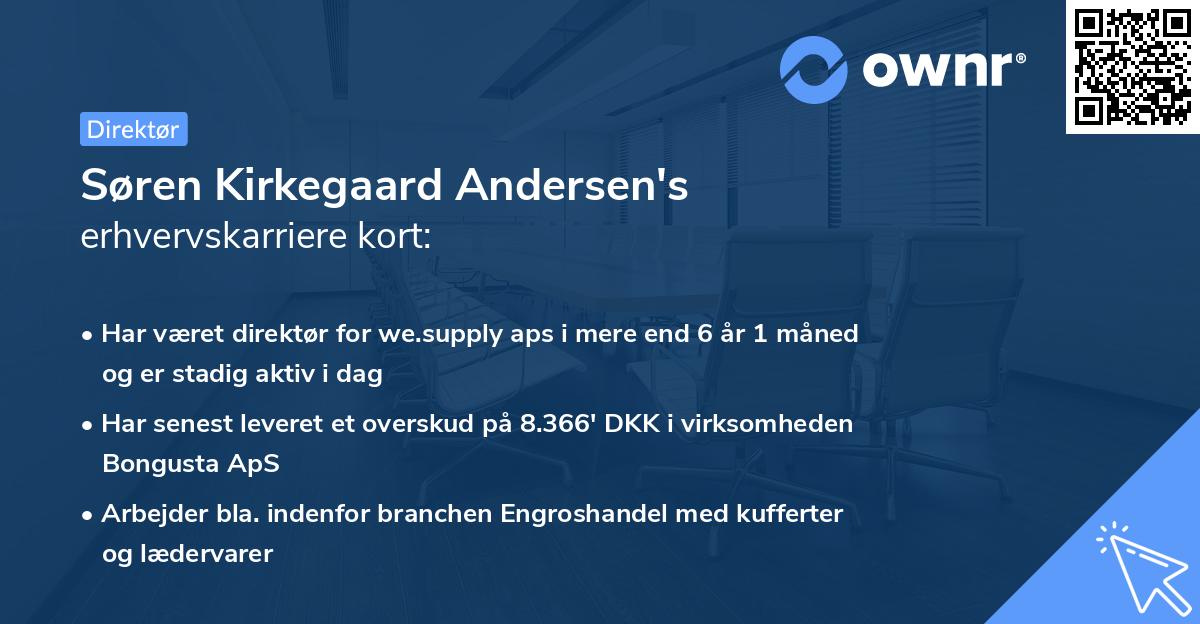 Søren Kirkegaard Andersen's erhvervskarriere kort