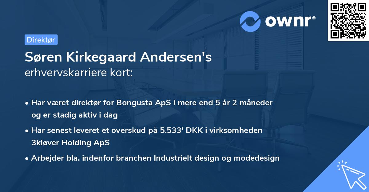 Søren Kirkegaard Andersen's erhvervskarriere kort