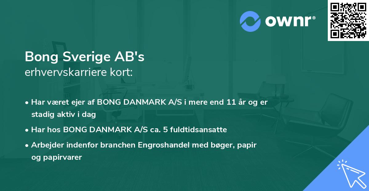 Bong Sverige AB's erhvervskarriere kort