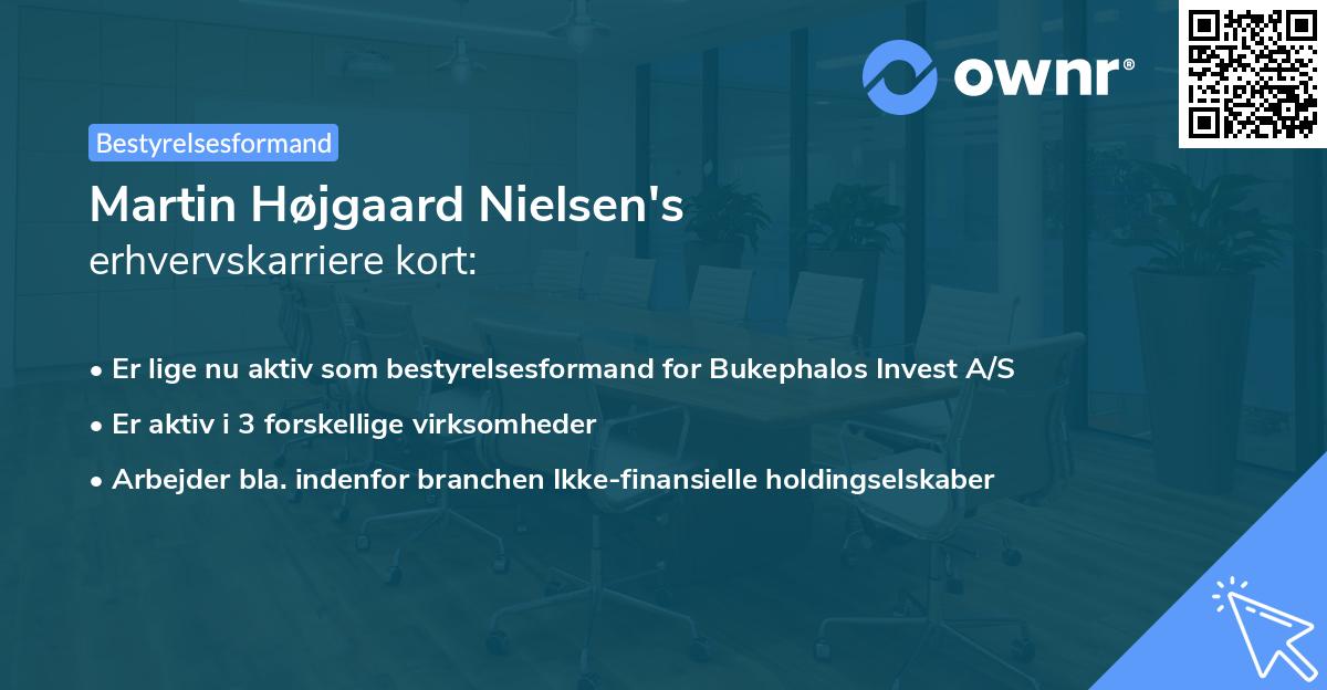 Martin Højgaard Nielsen's erhvervskarriere kort