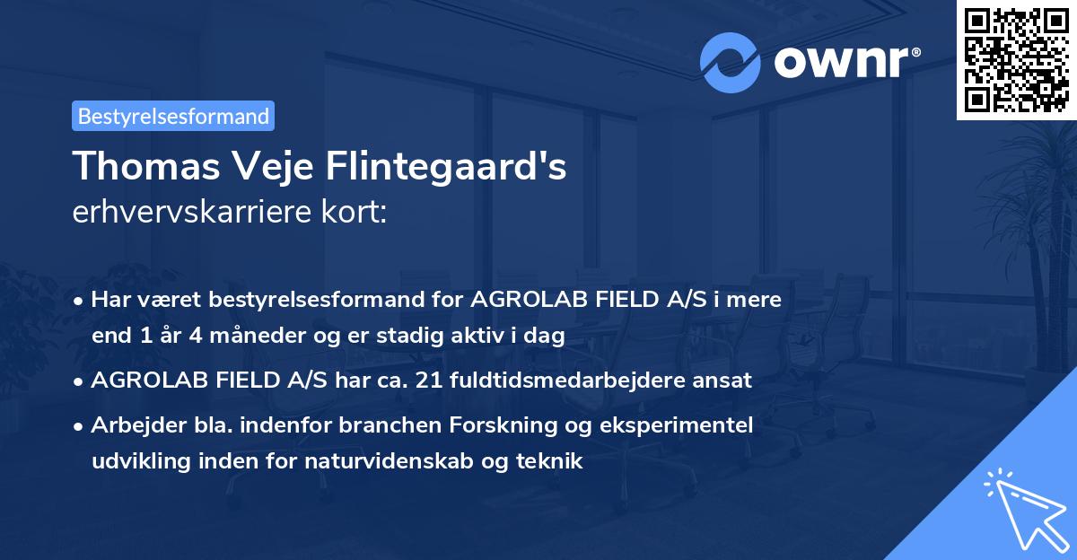 Thomas Veje Flintegaard's erhvervskarriere kort