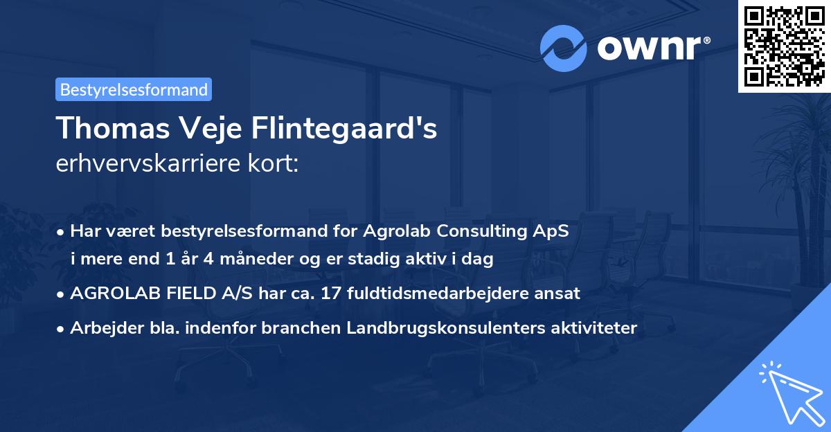 Thomas Veje Flintegaard's erhvervskarriere kort