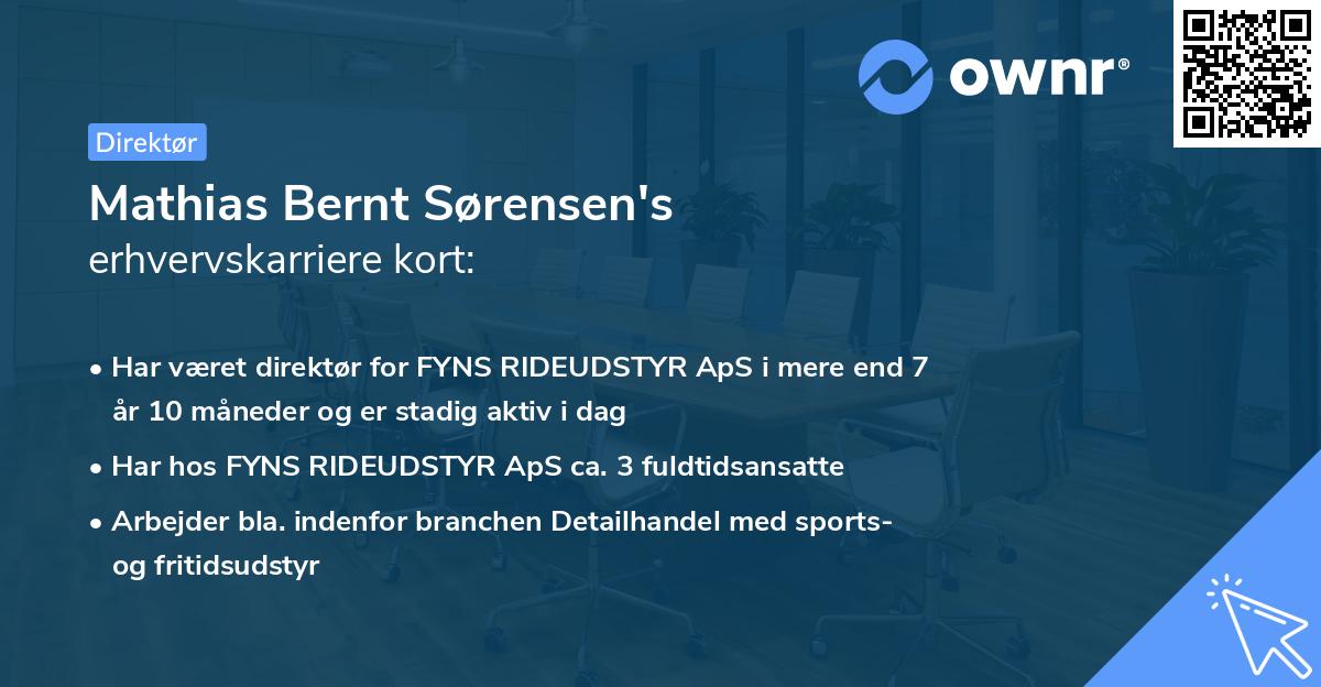 Mathias Bernt Sørensen's erhvervskarriere kort