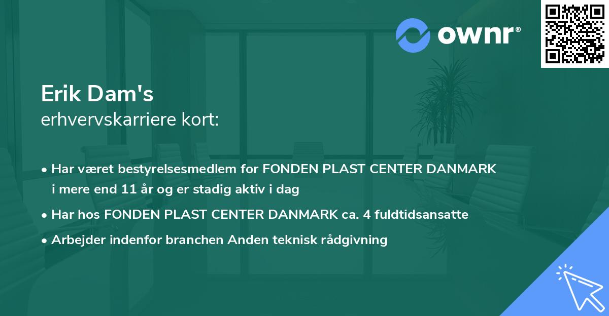 Erik Dam's erhvervskarriere kort