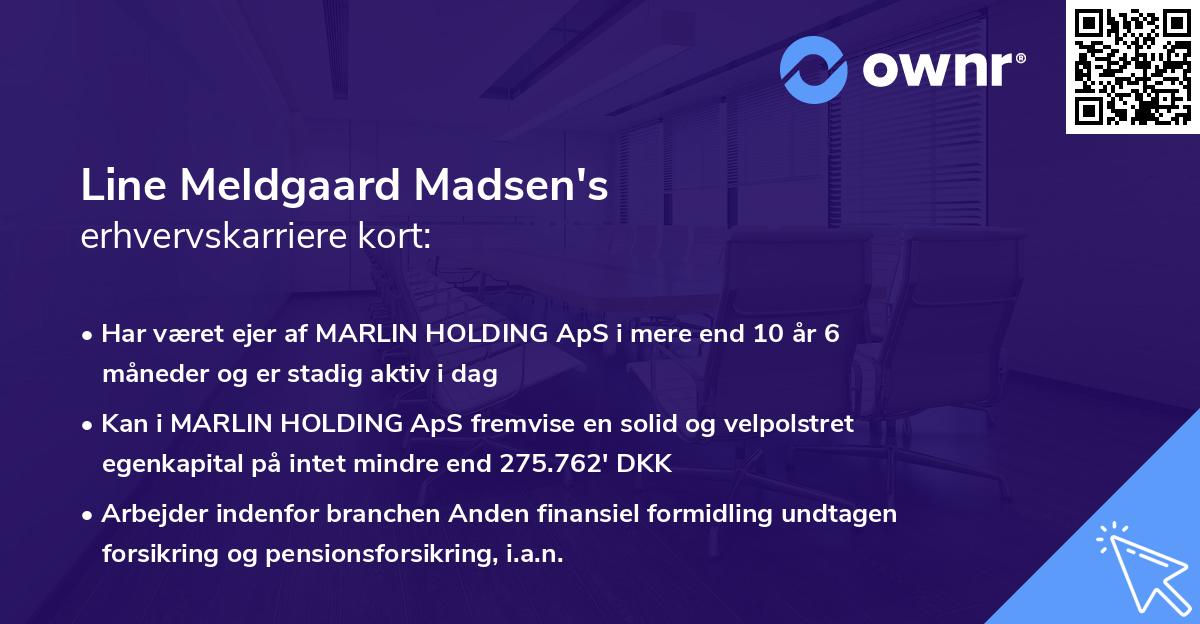 Line Meldgaard Madsen's erhvervskarriere kort