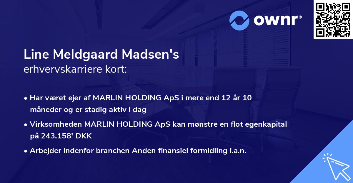Line Meldgaard Madsen's erhvervskarriere kort