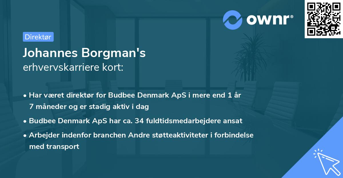Johannes Borgman's erhvervskarriere kort