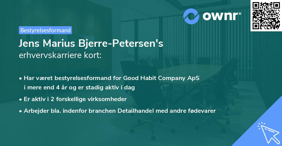Jens Marius Bjerre-Petersen's erhvervskarriere kort
