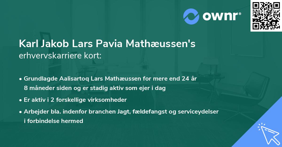 Karl Jakob Lars Pavia Mathæussen's erhvervskarriere kort