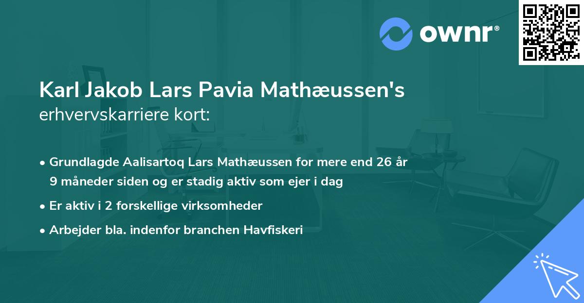 Karl Jakob Lars Pavia Mathæussen's erhvervskarriere kort