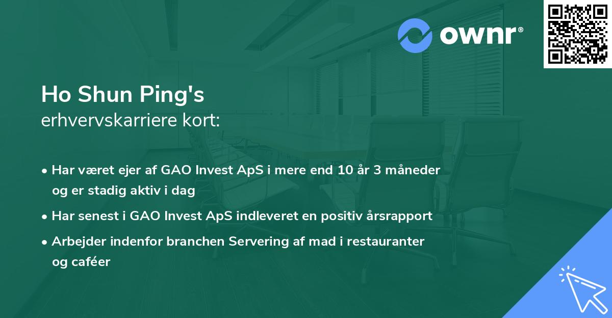 Ho Shun Ping's erhvervskarriere kort