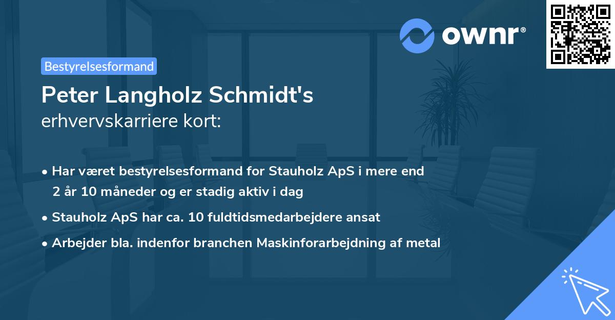 Peter Langholz Schmidt's erhvervskarriere kort