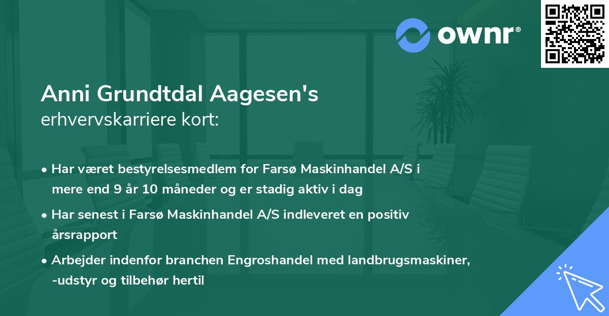 Anni Grundtdal Aagesen's erhvervskarriere kort