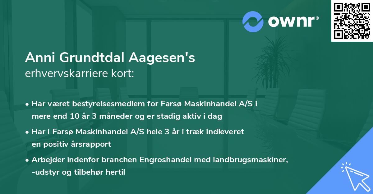 Anni Grundtdal Aagesen's erhvervskarriere kort