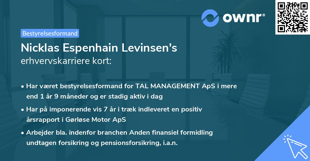 Nicklas Espenhain Levinsen's erhvervskarriere kort