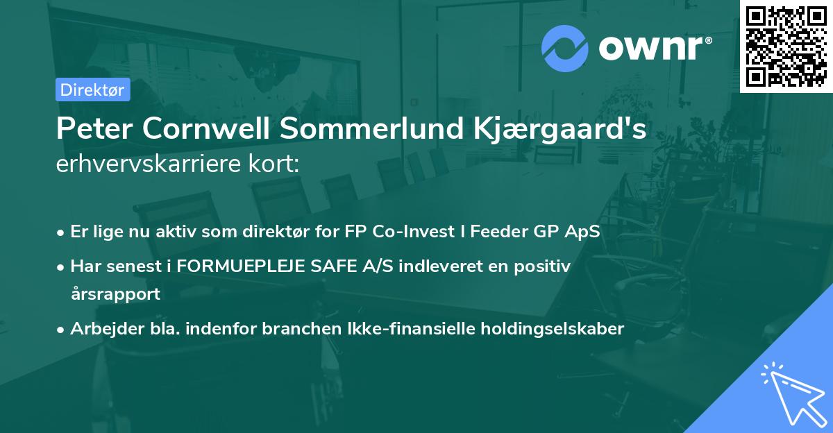 Peter Cornwell Sommerlund Kjærgaard's erhvervskarriere kort
