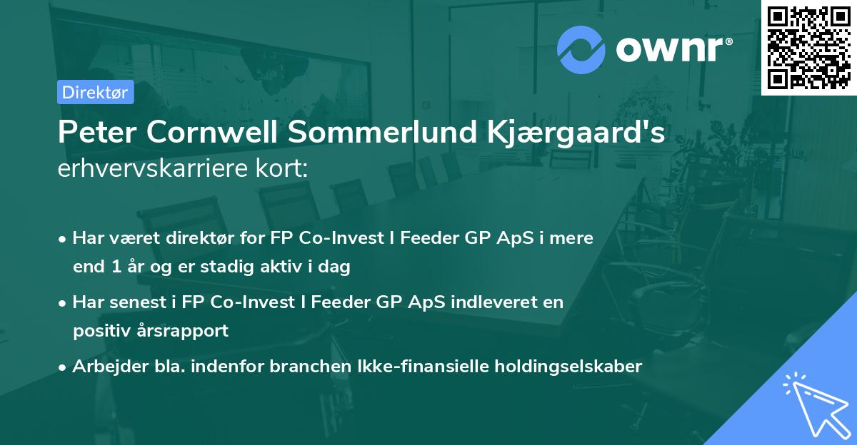 Peter Cornwell Sommerlund Kjærgaard's erhvervskarriere kort