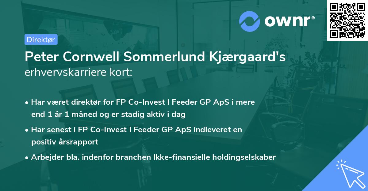 Peter Cornwell Sommerlund Kjærgaard's erhvervskarriere kort