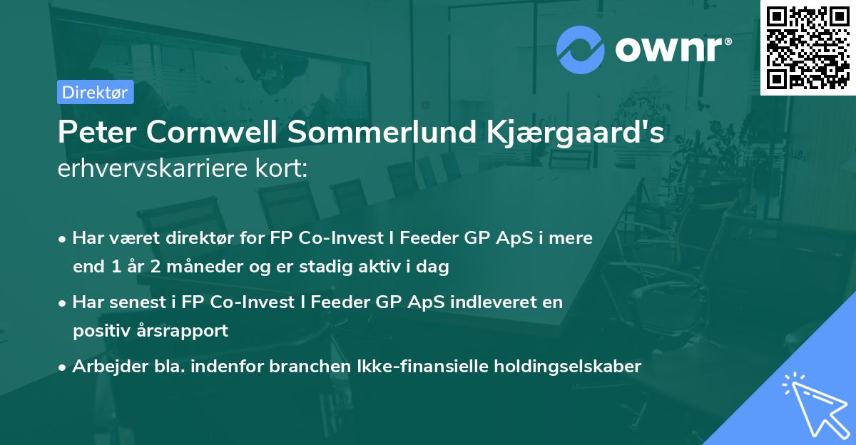 Peter Cornwell Sommerlund Kjærgaard's erhvervskarriere kort