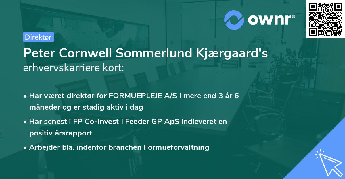 Peter Cornwell Sommerlund Kjærgaard's erhvervskarriere kort