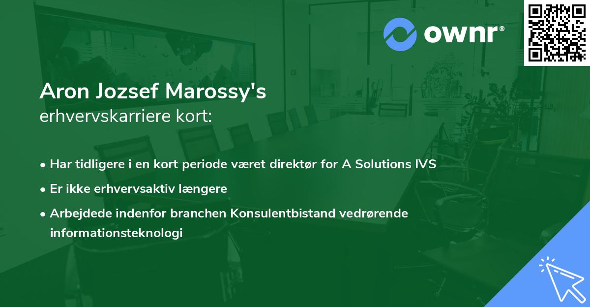 Aron Jozsef Marossy's erhvervskarriere kort