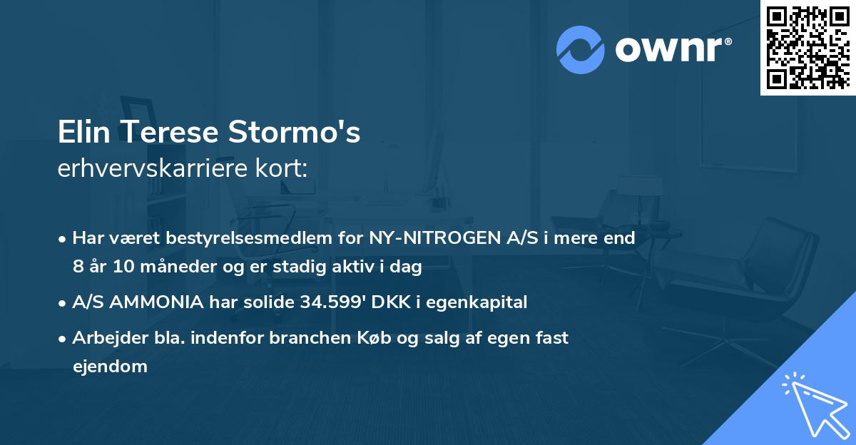 Elin Terese Stormo's erhvervskarriere kort
