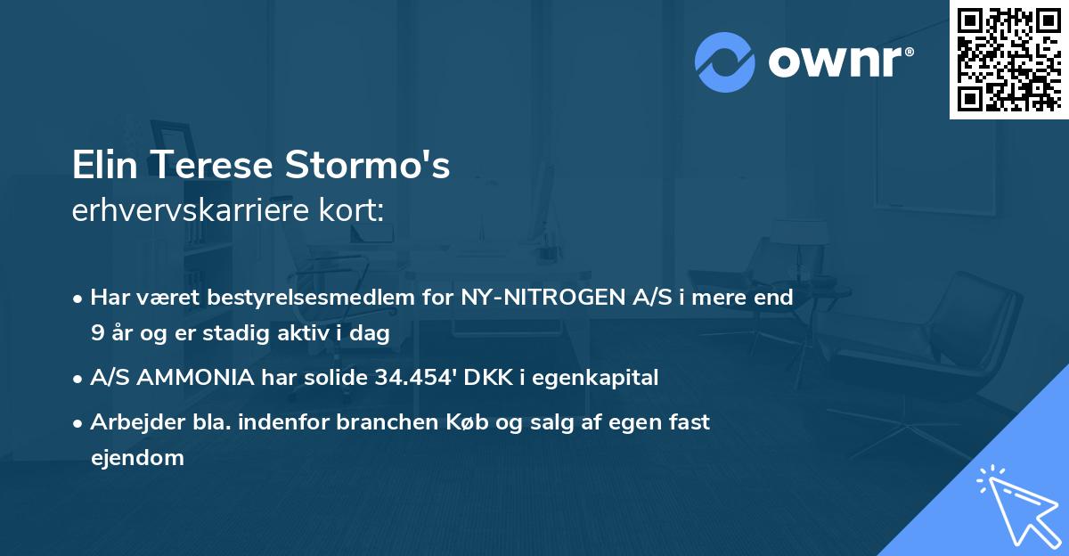 Elin Terese Stormo's erhvervskarriere kort
