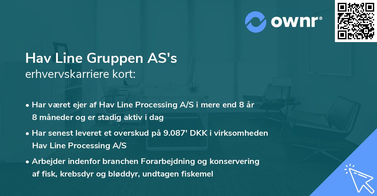 Hav Line Gruppen AS's erhvervskarriere kort