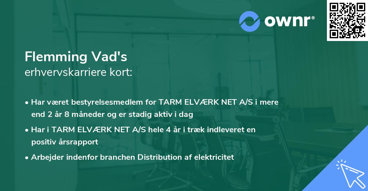 Flemming Vad's erhvervskarriere kort
