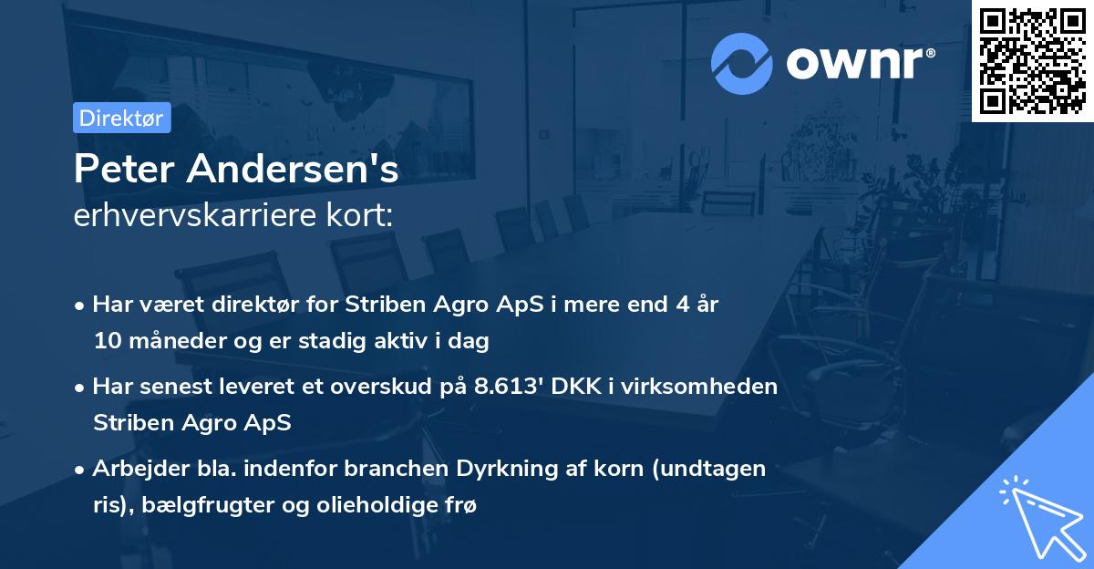 Peter Andersen's erhvervskarriere kort