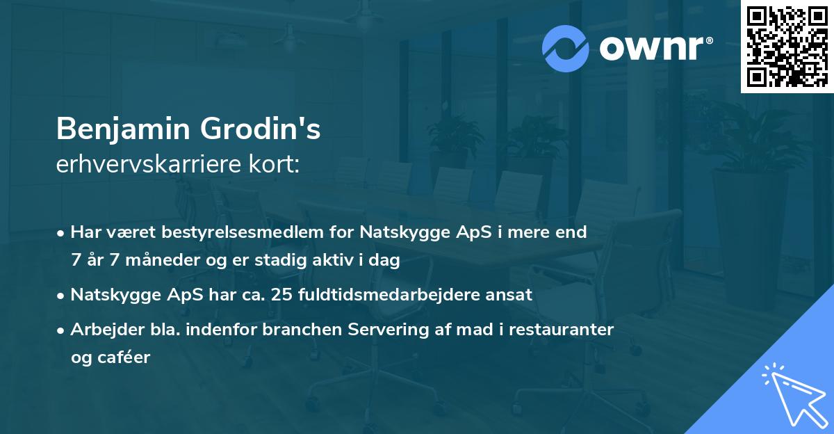 Benjamin Grodin's erhvervskarriere kort