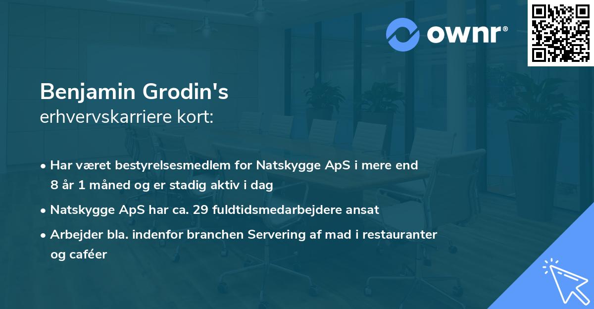 Benjamin Grodin's erhvervskarriere kort