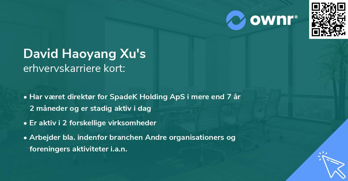 David Haoyang Xu's erhvervskarriere kort