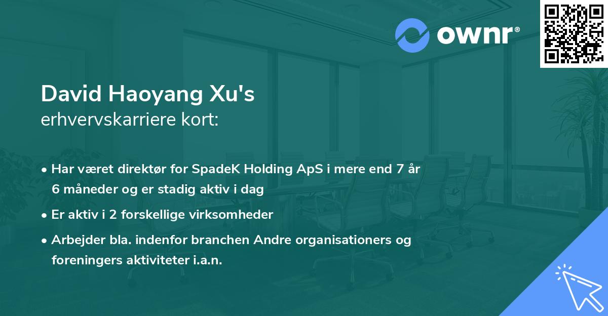 David Haoyang Xu's erhvervskarriere kort