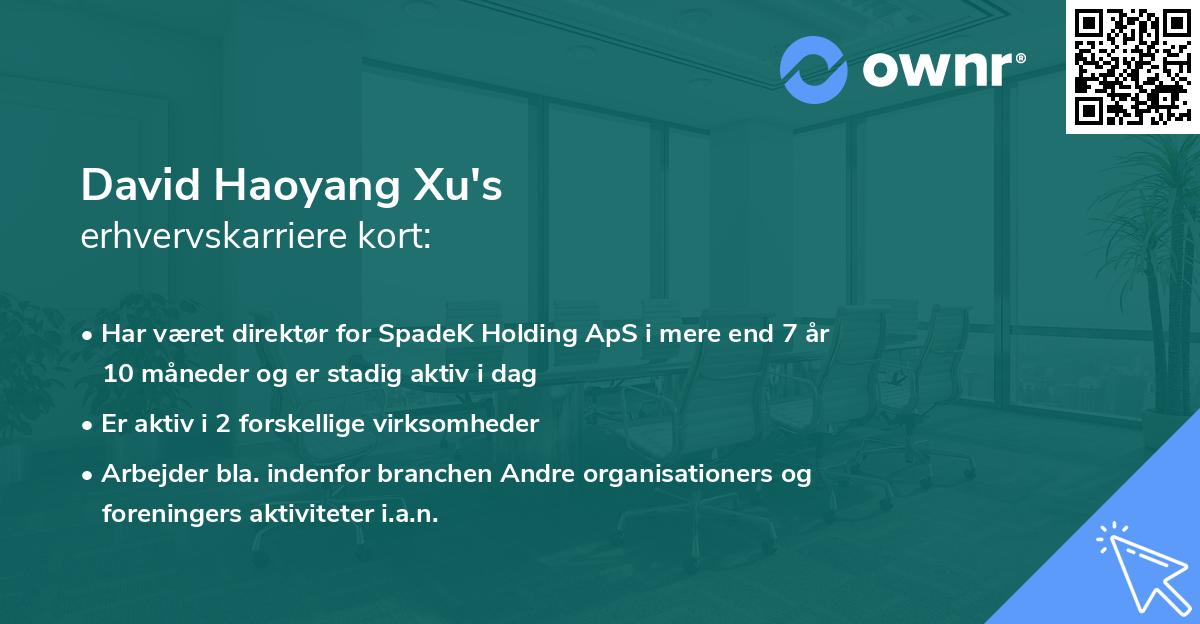David Haoyang Xu's erhvervskarriere kort