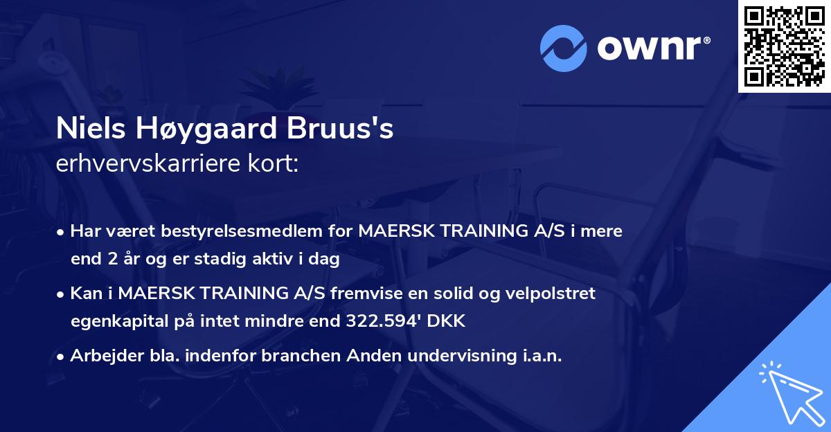 Niels Høygaard Bruus's erhvervskarriere kort