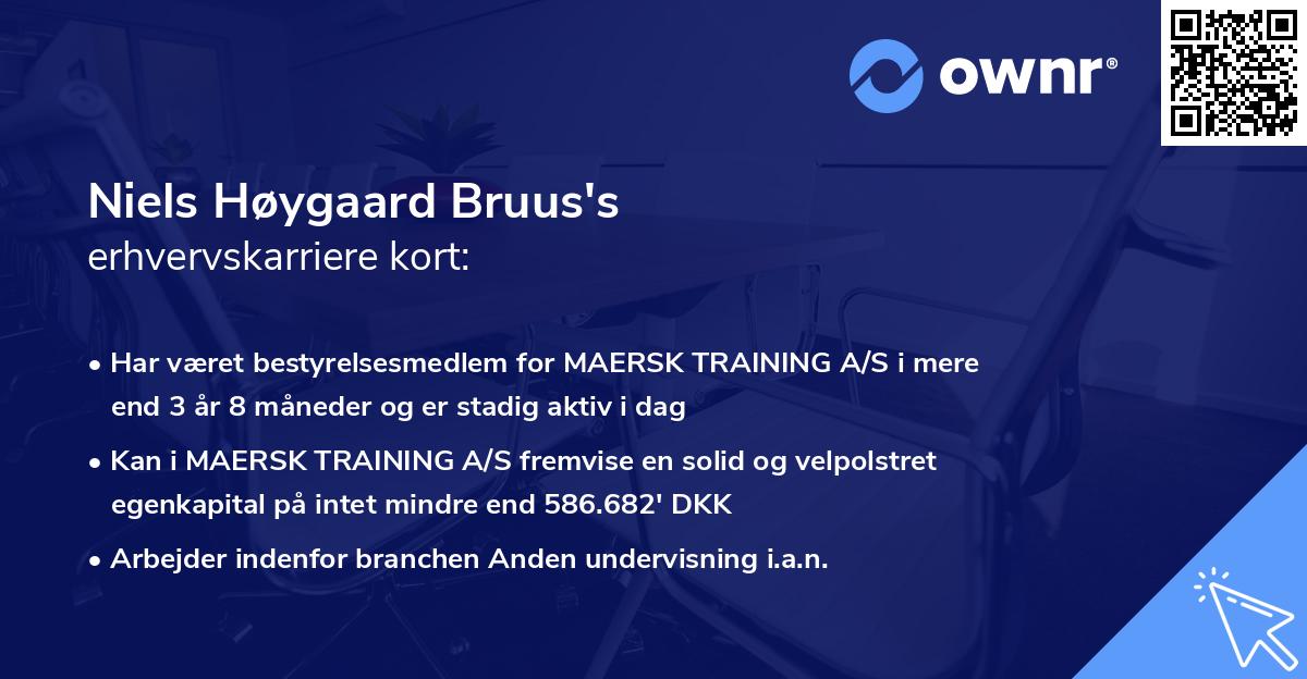 Niels Høygaard Bruus's erhvervskarriere kort
