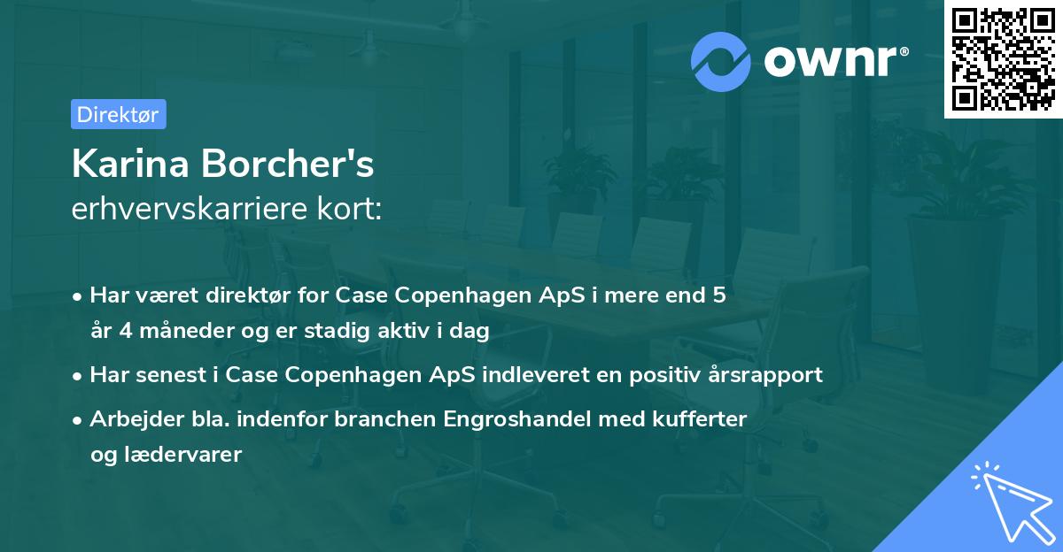 Karina Borcher's erhvervskarriere kort