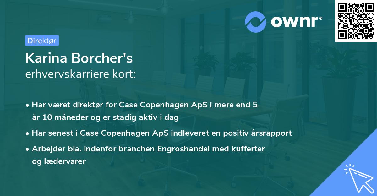 Karina Borcher's erhvervskarriere kort