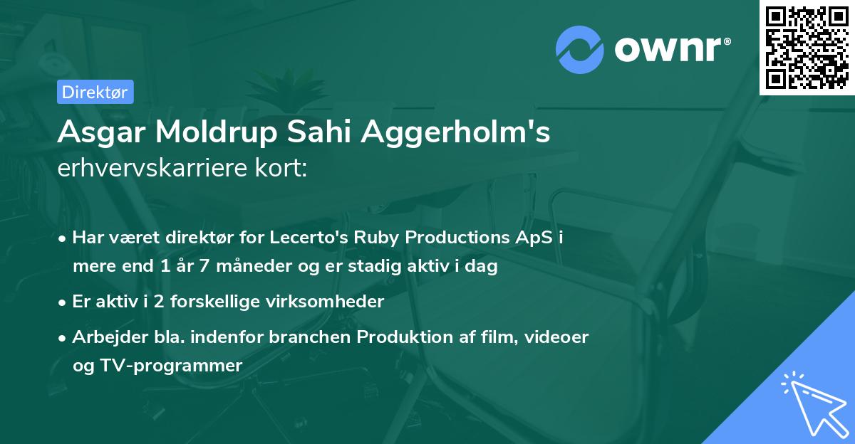 Asgar Moldrup Sahi Aggerholm's erhvervskarriere kort
