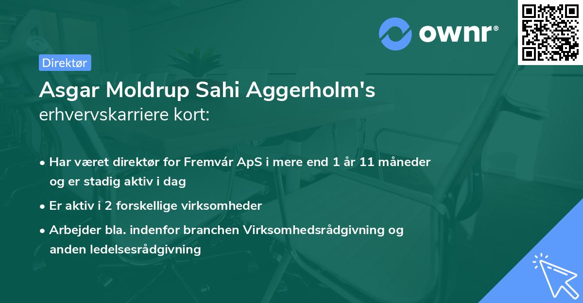 Asgar Moldrup Sahi Aggerholm's erhvervskarriere kort