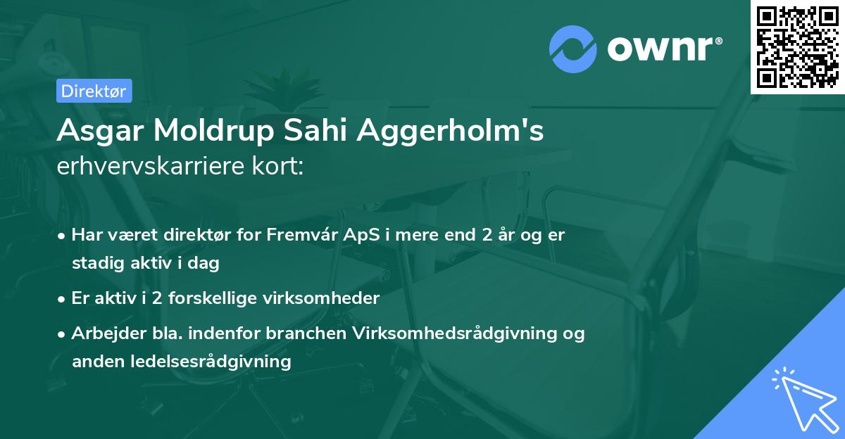 Asgar Moldrup Sahi Aggerholm's erhvervskarriere kort