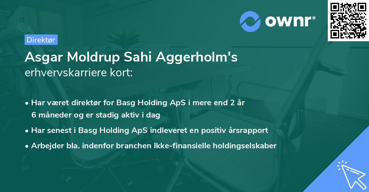 Asgar Moldrup Sahi Aggerholm's erhvervskarriere kort
