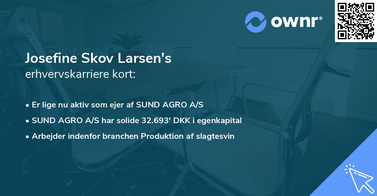 Josefine Skov Larsen's erhvervskarriere kort