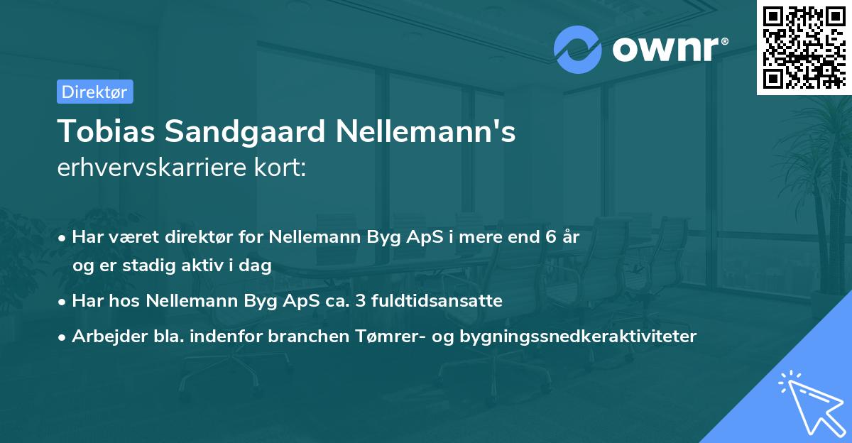 Tobias Sandgaard Nellemann's erhvervskarriere kort
